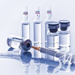 � ������ ���������� �������� ���� �������� � ���������� ����� ������ �� ������ 